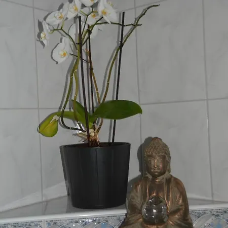 Ferien Schwaiger Apartmán